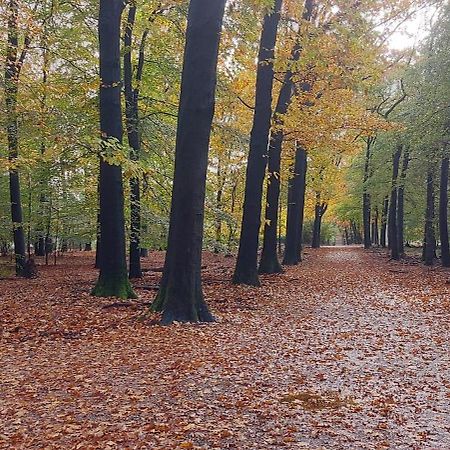 Chalet Wanama. Gelegen Op Het Vakantiepark Het Lierderholt Op De Veluwe. Villa Beekbergen Exteriör bild