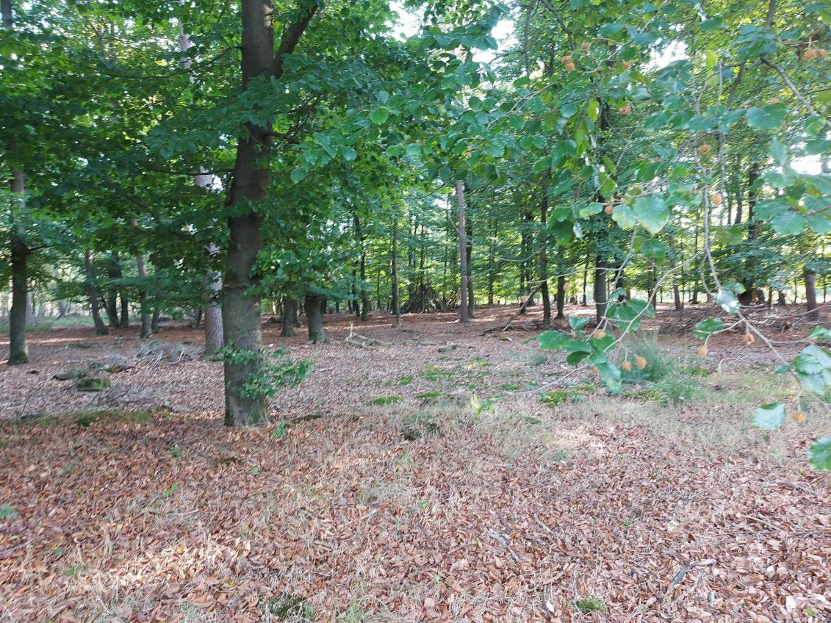 Chalet Wanama. Gelegen Op Het Vakantiepark Het Lierderholt Op De Veluwe. Villa Beekbergen Exteriör bild