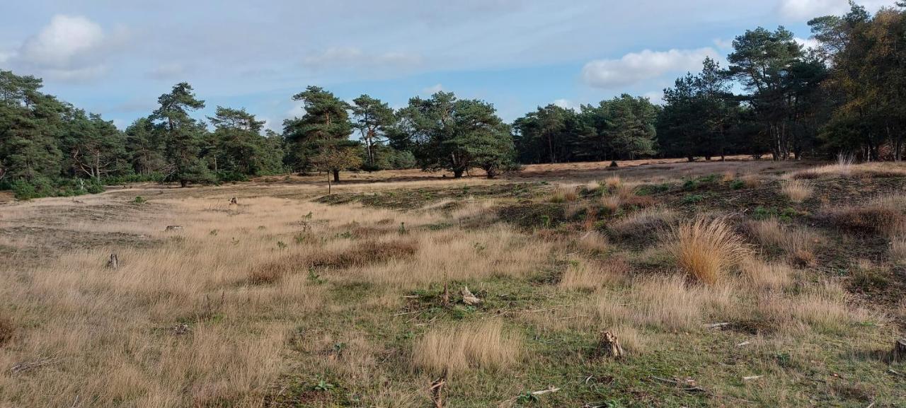 Chalet Wanama. Gelegen Op Het Vakantiepark Het Lierderholt Op De Veluwe. Villa Beekbergen Exteriör bild