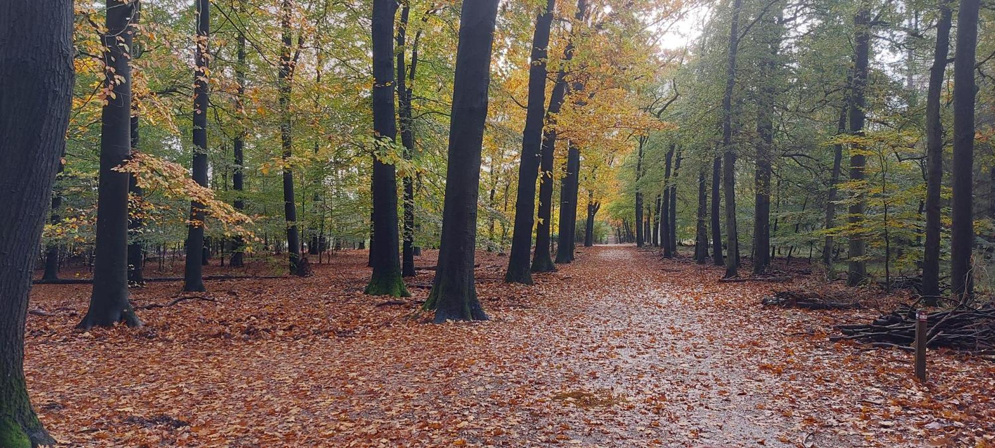 Chalet Wanama. Gelegen Op Het Vakantiepark Het Lierderholt Op De Veluwe. Villa Beekbergen Exteriör bild
